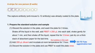 1_ELISA and Agglutination 2024.12.9(1).pptx