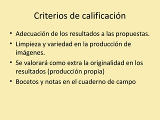 Criterios de calificación 
• Adecuación de los resultados a las propuestas. 
• Limpieza y variedad en la producción de 
imágenes. 
• Se valorará como extra la originalidad en los 
resultados (producción propia) 
• Bocetos y notas en el cuaderno de campo 
 