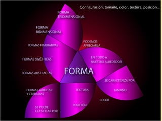 Configuración, tamaño, color, textura, posición… 
 