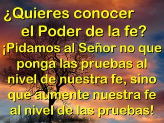 ¿Quieres conocer¿Quieres conocer
el Poder de la fe?el Poder de la fe?
¡Pidamos al Señor no que¡Pidamos al Señor no que
ponga las pruebas alponga las pruebas al
nivel de nuestra fe, sinonivel de nuestra fe, sino
que aumente nuestra feque aumente nuestra fe
al nivel de las pruebas!al nivel de las pruebas!
 