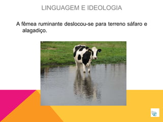 A fêmea ruminante deslocou-se para terreno sáfaro e
alagadiço.
LINGUAGEM E IDEOLOGIA
 