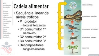 ©
Cadeia alimentar
•Sequência linear de
níveis tróficos
• P produtor
• fotossintetizantes
• C1 consumidor 1º
• herbívoro
• C2 consumidor 2º
• C3 consumidor 3º
• Decompositores
• fungos/bactérias
Prof. Kyoshi Beraldo
©
#20
Introdução
Ecologia
Níveis
Habitat
>perda
>fragmenta
Nicho
>sobrepõe
Cadeia
Teia
>urubus
Ciclo
Fluxo
Pirâmides
>vegeta
Produtiv.
 