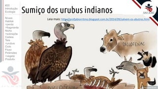 ©
Sumiço dos urubus indianos
Prof. Kyoshi Beraldo
©
Leia mais: http://profjabiorritmo.blogspot.com.br/2014/09/salvem-os-abutres.html
#20
Introdução
Ecologia
Níveis
Habitat
>perda
>fragmenta
Nicho
>sobrepõe
Cadeia
Teia
>urubus
Ciclo
Fluxo
Pirâmides
>vegeta
Produtiv.
 
