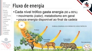 ©
Fluxo de energia
•Cada nível trófico gasta energia (80 a 95%)
• movimento (calor), metabolismo em geral
• pouca energia disponível ao final da cadeia
Prof. Kyoshi Beraldo
©
#20
Introdução
Ecologia
Níveis
Habitat
>perda
>fragmenta
Nicho
>sobrepõe
Cadeia
Teia
>urubus
Ciclo
Fluxo
Pirâmides
>vegeta
Produtiv.
 
