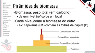 ©
Pirâmides de biomassa
Prof. Kyoshi Beraldo
©
•Biomassa: peso total (em carbono)
• de um nível trófico de um local
•Cada nível come a biomassa do outro
• ex: capivaras (C1) comem as folhas de capim (P)
#20
Introdução
Ecologia
Níveis
Habitat
>perda
>fragmenta
Nicho
>sobrepõe
Cadeia
Teia
>urubus
Ciclo
Fluxo
Pirâmides
>vegeta
Produtiv.
 