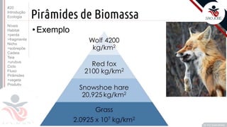 ©
Pirâmides de Biomassa
•Exemplo
Prof. Kyoshi Beraldo
©
#20
Introdução
Ecologia
Níveis
Habitat
>perda
>fragmenta
Nicho
>sobrepõe
Cadeia
Teia
>urubus
Ciclo
Fluxo
Pirâmides
>vegeta
Produtiv.
 