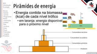 ©
Pirâmides de energia
•Energia contida na biomassa
(kcal) de cada nível trófico
• em laranja: energia disponível
para o próximo nível
Prof. Kyoshi Beraldo
©
#20
Introdução
Ecologia
Níveis
Habitat
>perda
>fragmenta
Nicho
>sobrepõe
Cadeia
Teia
>urubus
Ciclo
Fluxo
Pirâmides
>vegeta
Produtiv.
 