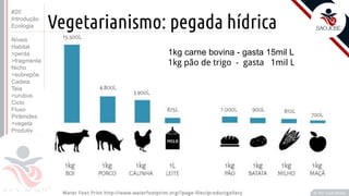 ©
Vegetarianismo: pegada hídrica
Prof. Kyoshi Beraldo
©
1kg carne bovina - gasta 15mil L
1kg pão de trigo - gasta 1mil L
#20
Introdução
Ecologia
Níveis
Habitat
>perda
>fragmenta
Nicho
>sobrepõe
Cadeia
Teia
>urubus
Ciclo
Fluxo
Pirâmides
>vegeta
Produtiv.
 