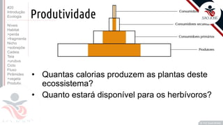 ©
• Quantas calorias produzem as plantas deste
ecossistema?
• Quanto estará disponível para os herbívoros?
Prof. Kyoshi Beraldo
©
Produtividade
#20
Introdução
Ecologia
Níveis
Habitat
>perda
>fragmenta
Nicho
>sobrepõe
Cadeia
Teia
>urubus
Ciclo
Fluxo
Pirâmides
>vegeta
Produtiv.
 