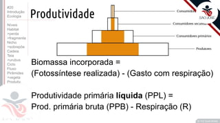 ©
Biomassa incorporada =
(Fotossíntese realizada) - (Gasto com respiração)
Produtividade primária líquida (PPL) =
Prod. primária bruta (PPB) - Respiração (R)
Prof. Kyoshi Beraldo
©
Produtividade
#20
Introdução
Ecologia
Níveis
Habitat
>perda
>fragmenta
Nicho
>sobrepõe
Cadeia
Teia
>urubus
Ciclo
Fluxo
Pirâmides
>vegeta
Produtiv.
 