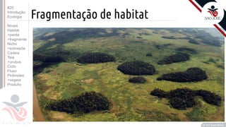 ©
Fragmentação de habitat
Prof. Kyoshi Beraldo
©
#20
Introdução
Ecologia
Níveis
Habitat
>perda
>fragmenta
Nicho
>sobrepõe
Cadeia
Teia
>urubus
Ciclo
Fluxo
Pirâmides
>vegeta
Produtiv.
 