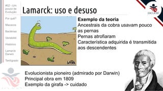 Prof. Kyoshi Beraldo
©
Lamarck: uso e desuso
Evolucionista pioneiro (admirado por Darwin)
Principal obra em 1809
Exemplo da girafa -> cuidado
Exemplo da teoria
Ancestrais da cobra usavam pouco
as pernas
Pernas atrofiaram
Característica adquirida é transmitida
aos descendentes
#02 - Um
pouco de
Evolução
Por quê?
Macacos
Bactérias
Variabilid.
Histórico
Lamarck
Darwin
Tardígrado
 