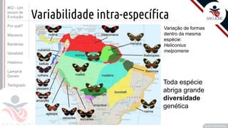Prof. Kyoshi Beraldo
©
Variabilidade intra-específica
Variação de formas
dentro da mesma
espécie:
Heliconius
melpomene
Toda espécie
abriga grande
diversidade
genética
#02 - Um
pouco de
Evolução
Por quê?
Macacos
Bactérias
Variabilid.
Histórico
Lamarck
Darwin
Tardígrado
 