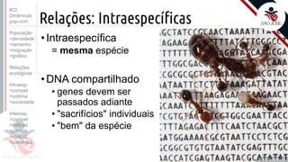 ©
Relações: Intraespecíficas
•Intraespecífica
= mesma espécie
•DNA compartilhado
• genes devem ser
passados adiante
• "sacrifícios" individuais
• "bem" da espécie
Prof. Kyoshi Beraldo
©
#22
Dinâmicas
pop-com.
População
>densidade
>tamanho
>migração
>gráfico
Relações
ecológicas
Intraesp.
>compet
>colônia
>sociedade
Interesp.
>compet
>tróficas
>parasit.
>mutual.
>comensa.
 