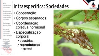 ©
Intraespecífica: Sociedades
•Cooperação
•Corpos separados
•Coordenação
coletiva hormonal
•Especialização
corporal
• operárias
• reprodutores
• genes!
Prof. Kyoshi Beraldo
©
#22
Dinâmicas
pop-com.
População
>densidade
>tamanho
>migração
>gráfico
Relações
ecológicas
Intraesp.
>compet
>colônia
>sociedade
Interesp.
>compet
>tróficas
>parasit.
>mutual.
>comensa.
 
