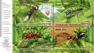 ©
#22
Dinâmicas
pop-com.
População
>densidade
>tamanho
>migração
>gráfico
Relações
ecológicas
Intraesp.
>compet
>colônia
>sociedade
Interesp.
>compet
>tróficas
>parasit.
>mutual.
>comensa.
 