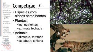 ©
Competição - / -
•Espécies com
nichos semelhantes
•Plantas:
• luz, nutrientes
• ex: mata fechada
•Animais:
• alimento, território
• ex: abutre x hiena
Prof. Kyoshi Beraldo
©
#22
Dinâmicas
pop-com.
População
>densidade
>tamanho
>migração
>gráfico
Relações
ecológicas
Intraesp.
>compet
>colônia
>sociedade
Interesp.
>compet
>tróficas
>parasit.
>mutual.
>comensa.
 