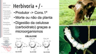 ©
Herbivoria + / -
•Produtor -> Cons.1º
•Morte ou não da planta
•Digestão da celulose
(carboidrato) graças a
microorganismos
Prof. Kyoshi Beraldo
©
#22
Dinâmicas
pop-com.
População
>densidade
>tamanho
>migração
>gráfico
Relações
ecológicas
Intraesp.
>compet
>colônia
>sociedade
Interesp.
>compet
>tróficas
>parasit.
>mutual.
>comensa.
 