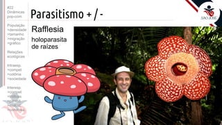 ©
Parasitismo + / -
Rafflesia
holoparasita
de raízes
Prof. Kyoshi Beraldo
©
#22
Dinâmicas
pop-com.
População
>densidade
>tamanho
>migração
>gráfico
Relações
ecológicas
Intraesp.
>compet
>colônia
>sociedade
Interesp.
>compet
>tróficas
>parasit.
>mutual.
>comensa.
 
