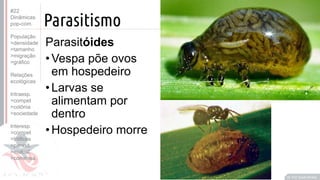 ©
Parasitismo
Parasitóides
•Vespa põe ovos
em hospedeiro
•Larvas se
alimentam por
dentro
•Hospedeiro morre
Prof. Kyoshi Beraldo
©
#22
Dinâmicas
pop-com.
População
>densidade
>tamanho
>migração
>gráfico
Relações
ecológicas
Intraesp.
>compet
>colônia
>sociedade
Interesp.
>compet
>tróficas
>parasit.
>mutual.
>comensa.
 
