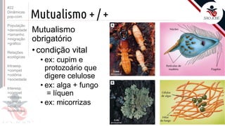 ©
Mutualismo + / +
Mutualismo
obrigatório
•condição vital
• ex: cupim e
protozoário que
digere celulose
• ex: alga + fungo
= líquen
• ex: micorrizas
Prof. Kyoshi Beraldo
©
#22
Dinâmicas
pop-com.
População
>densidade
>tamanho
>migração
>gráfico
Relações
ecológicas
Intraesp.
>compet
>colônia
>sociedade
Interesp.
>compet
>tróficas
>parasit.
>mutual.
>comensa.
 
