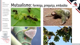 ©
Mutualismo: formiga, preguiça, embaúba
•D
Prof. Kyoshi Beraldo
©
#22
Dinâmicas
pop-com.
População
>densidade
>tamanho
>migração
>gráfico
Relações
ecológicas
Intraesp.
>compet
>colônia
>sociedade
Interesp.
>compet
>tróficas
>parasit.
>mutual.
>comensa.
 