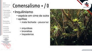 ©
Comensalismo + / 0
•Inquilinismo
• espécie em cima da outra
• epífitas
• mata fechada - pouca luz
• orquídeas
• bromélias
• trepadeiras
Prof. Kyoshi Beraldo
©
#22
Dinâmicas
pop-com.
População
>densidade
>tamanho
>migração
>gráfico
Relações
ecológicas
Intraesp.
>compet
>colônia
>sociedade
Interesp.
>compet
>tróficas
>parasit.
>mutual.
>comensa.
 