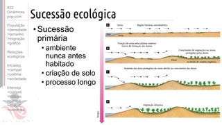 ©
Sucessão ecológica
•Sucessão
primária
• ambiente
nunca antes
habitado
• criação de solo
• processo longo
#22
Dinâmicas
pop-com.
População
>densidade
>tamanho
>migração
>gráfico
Relações
ecológicas
Intraesp.
>compet
>colônia
>sociedade
Interesp.
>compet
>tróficas
>parasit.
>mutual.
>comensa.
 