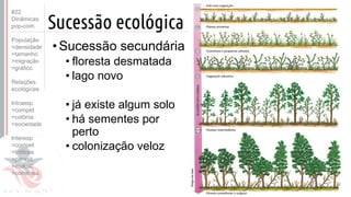 ©
Sucessão ecológica
•Sucessão secundária
• floresta desmatada
• lago novo
• já existe algum solo
• há sementes por
perto
• colonização veloz
#22
Dinâmicas
pop-com.
População
>densidade
>tamanho
>migração
>gráfico
Relações
ecológicas
Intraesp.
>compet
>colônia
>sociedade
Interesp.
>compet
>tróficas
>parasit.
>mutual.
>comensa.
 