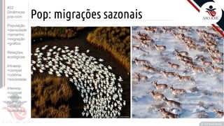 ©
Pop: migrações sazonais
•D
Prof. Kyoshi Beraldo
©
#22
Dinâmicas
pop-com.
População
>densidade
>tamanho
>migração
>gráfico
Relações
ecológicas
Intraesp.
>compet
>colônia
>sociedade
Interesp.
>compet
>tróficas
>parasit.
>mutual.
>comensa.
 
