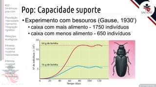 ©
Pop: Capacidade suporte
•Experimento com besouros (Gause, 1930')
• caixa com mais alimento - 1750 indivíduos
• caixa com menos alimento - 650 indivíduos
Prof. Kyoshi Beraldo
©
#22
Dinâmicas
pop-com.
População
>densidade
>tamanho
>migração
>gráfico
Relações
ecológicas
Intraesp.
>compet
>colônia
>sociedade
Interesp.
>compet
>tróficas
>parasit.
>mutual.
>comensa.
 