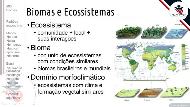 2-) Qual A Diferença Entre Biomas E Ecossistemas? – QMBLV