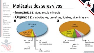 ©
Moléculas dos seres vivos
•Inorgânicas: água e sais minerais
•Orgânicas: carboidratos, proteínas, lipídios, vitaminas etc.
Prof. Kyoshi Beraldo
©
#06
Química
da vida
Conceitos
Orgânica e
Inorgânica
Água
Sais miner.
Vitamina
Carboidrato
> glicose
Lipídios
> fosfolip.
Proteínas
> enzimas
 