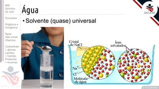 ©
Água
•Solvente (quase) universal
Prof. Kyoshi Beraldo
©
#06
Química
da vida
Conceitos
Orgânica e
Inorgânica
Água
Sais miner.
Vitamina
Carboidrato
> glicose
Lipídios
> fosfolip.
Proteínas
> enzimas
 