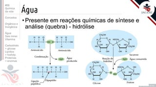 ©
Água
•Presente em reações químicas de síntese e
análise (quebra) - hidrólise
Prof. Kyoshi Beraldo
©
#06
Química
da vida
Conceitos
Orgânica e
Inorgânica
Água
Sais miner.
Vitamina
Carboidrato
> glicose
Lipídios
> fosfolip.
Proteínas
> enzimas
 