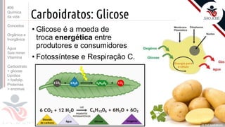 ©
Carboidratos: Glicose
• Glicose é a moeda de
troca energética entre
produtores e consumidores
• Fotossíntese e Respiração C.
Prof. Kyoshi Beraldo
©
#06
Química
da vida
Conceitos
Orgânica e
Inorgânica
Água
Sais miner.
Vitamina
Carboidrato
> glicose
Lipídios
> fosfolip.
Proteínas
> enzimas
 