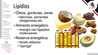 ©
Lipídios
•Óleos, gorduras, ceras
• laticínios, sementes
oleaginosas etc.
•Alimento energético
• energia nas ligações
moleculares
•Reserva energética
• tecido adiposo
• "barriga"
Prof. Kyoshi Beraldo
©
#06
Química
da vida
Conceitos
Orgânica e
Inorgânica
Água
Sais miner.
Vitamina
Carboidrato
> glicose
Lipídios
> fosfolip.
Proteínas
> enzimas
 