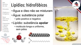 ©
Lipídios: hidrofóbicos
•Água e óleo não se misturam
•Água: substância polar
• pólo positivo e negativo
•Lipídio: substância apolar
• molécula longa e uniforme,
sem pólos
Prof. Kyoshi Beraldo
©
#06
Química
da vida
Conceitos
Orgânica e
Inorgânica
Água
Sais miner.
Vitamina
Carboidrato
> glicose
Lipídios
> fosfolip.
Proteínas
> enzimas
 