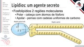 ©
Lipídios: um agente secreto
•Fosfolipídios 2 regiões moleculares
• Polar - cabeça com átomos de fósforo
• Apolar - pernas com cadeias uniformes de carbono
Prof. Kyoshi Beraldo
©
#06
Química
da vida
Conceitos
Orgânica e
Inorgânica
Água
Sais miner.
Vitamina
Carboidrato
> glicose
Lipídios
> fosfolip.
Proteínas
> enzimas
 