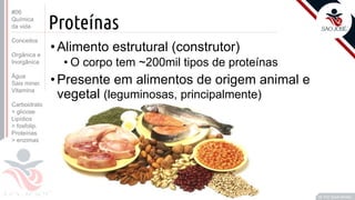 ©
Proteínas
•Alimento estrutural (construtor)
• O corpo tem ~200mil tipos de proteínas
•Presente em alimentos de origem animal e
vegetal (leguminosas, principalmente)
Prof. Kyoshi Beraldo
©
#06
Química
da vida
Conceitos
Orgânica e
Inorgânica
Água
Sais miner.
Vitamina
Carboidrato
> glicose
Lipídios
> fosfolip.
Proteínas
> enzimas
 