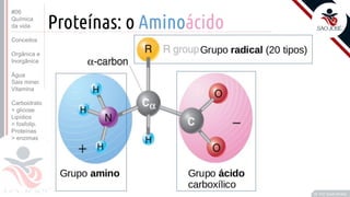 ©
Proteínas: o Aminoácido
Prof. Kyoshi Beraldo
©
#06
Química
da vida
Conceitos
Orgânica e
Inorgânica
Água
Sais miner.
Vitamina
Carboidrato
> glicose
Lipídios
> fosfolip.
Proteínas
> enzimas
 