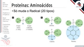 ©
Proteínas: Aminoácidos
•Só muda o Radical (20 tipos)
Prof. Kyoshi Beraldo
©
#06
Química
da vida
Conceitos
Orgânica e
Inorgânica
Água
Sais miner.
Vitamina
Carboidrato
> glicose
Lipídios
> fosfolip.
Proteínas
> enzimas
 