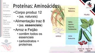 ©
Proteínas: Aminoácidos
•Corpo produz 12
• (aa. naturais)
•Alimentação traz 8
• (aa. essenciais)
•Arroz e Feijão
• contêm todos os
essenciais
• carboidratos +
proteínas
Prof. Kyoshi Beraldo
©
#06
Química
da vida
Conceitos
Orgânica e
Inorgânica
Água
Sais miner.
Vitamina
Carboidrato
> glicose
Lipídios
> fosfolip.
Proteínas
> enzimas
 