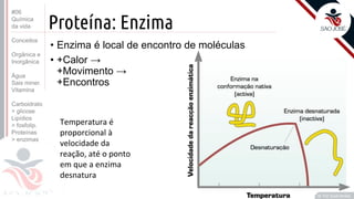 ©
Proteína: Enzima
• Enzima é local de encontro de moléculas
• +Calor →
+Movimento →
+Encontros
Prof. Kyoshi Beraldo
©
Temperatura é
proporcional à
velocidade da
reação, até o ponto
em que a enzima
desnatura
#06
Química
da vida
Conceitos
Orgânica e
Inorgânica
Água
Sais miner.
Vitamina
Carboidrato
> glicose
Lipídios
> fosfolip.
Proteínas
> enzimas
 