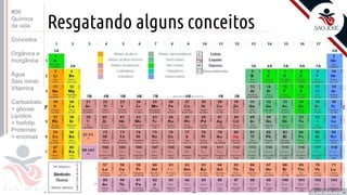 ©
Resgatando alguns conceitos
Prof. Kyoshi Beraldo
©
#06
Química
da vida
Conceitos
Orgânica e
Inorgânica
Água
Sais miner.
Vitamina
Carboidrato
> glicose
Lipídios
> fosfolip.
Proteínas
> enzimas
 