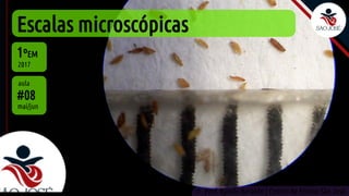 Escalas microscópicas
#08
mai/jun
1ºEM
2017
aula
Prof. Kyoshi Beraldo | Centro de Ensino São José
©
 