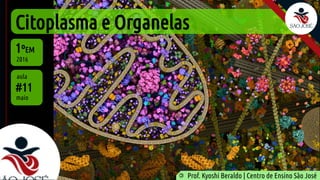 Citoplasma e Organelas
#11
maio
1ºEM
2016
aula
Prof. Kyoshi Beraldo | Centro de Ensino São José
©
 