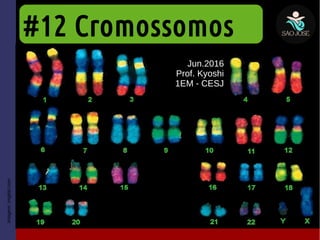 #12 Cromossomos
Jun.2016
Prof. Kyoshi
1EM - CESJ
Imagem:imgkid.com
 