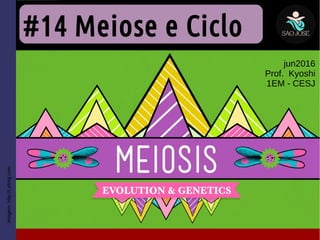 #14 Meiose e Ciclo
jun2016
Prof. Kyoshi
1EM - CESJ
Imagem:http://i.ytimg.com
 