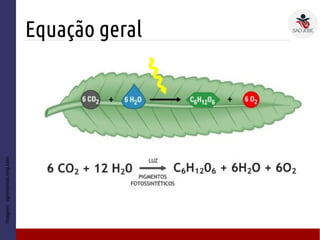 Equação geral
Imagem:agronomos.ning.com
 